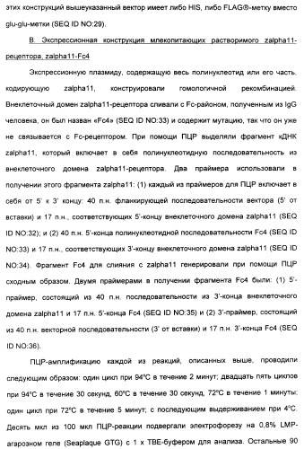 Выделенный полипептид, связывающий рецептор zalpha11-лиганда (варианты), кодирующий его полинуклеотид (варианты), вектор экспрессии (варианты) и клетка-хозяин (варианты) (патент 2346951)