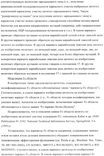 Стабилизированные антитела против ангиопоэтина-2 и их применение (патент 2509085)