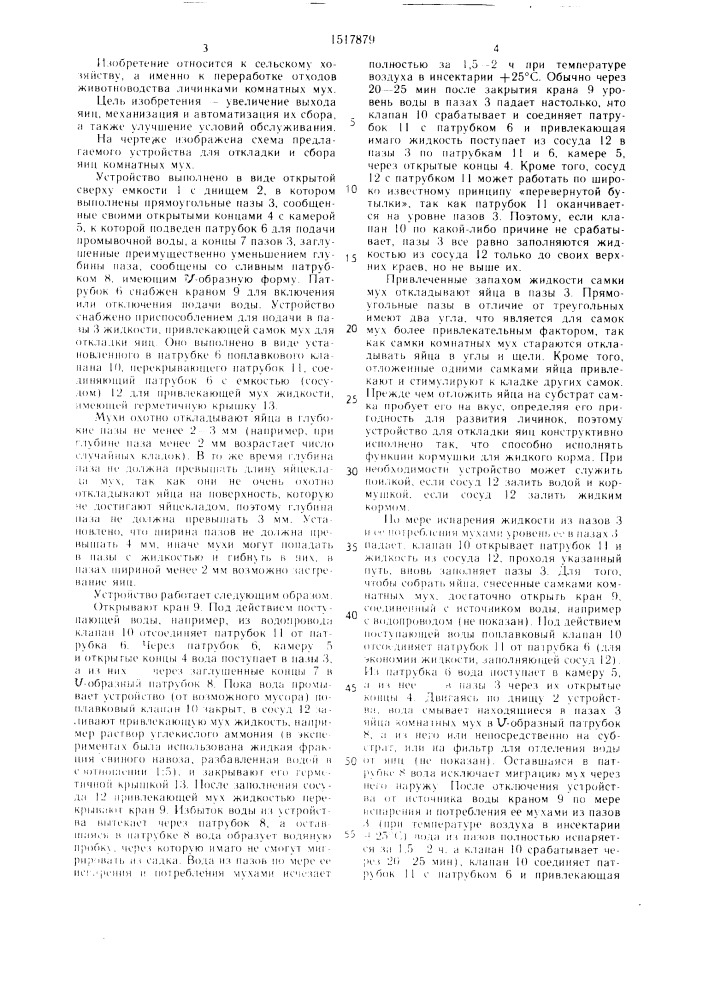 Устройство для откладки и сбора яиц комнатных мух (патент 1517879)