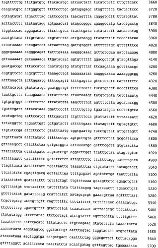 Бактериофаг, обладающий активностью против pseudomonas aeruginosa, белки бактериофага и способы их применения (патент 2580248)