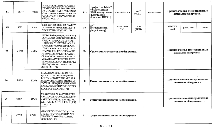 Бактериофаг, обладающий активностью против pseudomonas aeruginosa, белки бактериофага и способы их применения (патент 2580248)