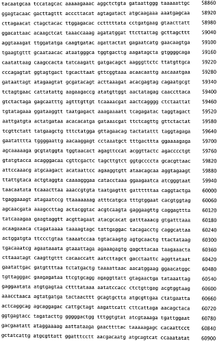 Бактериофаг, обладающий активностью против pseudomonas aeruginosa, белки бактериофага и способы их применения (патент 2580248)