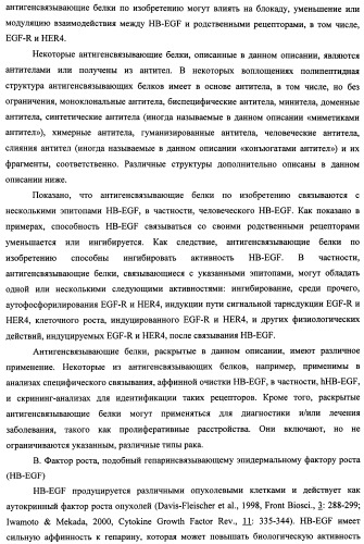 Белки, связывающие антиген фактор роста, подобный гепаринсвязывающему эпидермальному фактору роста (патент 2504551)