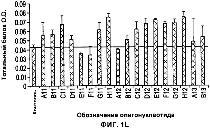 Лечение пролиферативных заболеваний с использованием антисмыслового олигомера iap и химиотерапевтического препарата (патент 2376018)