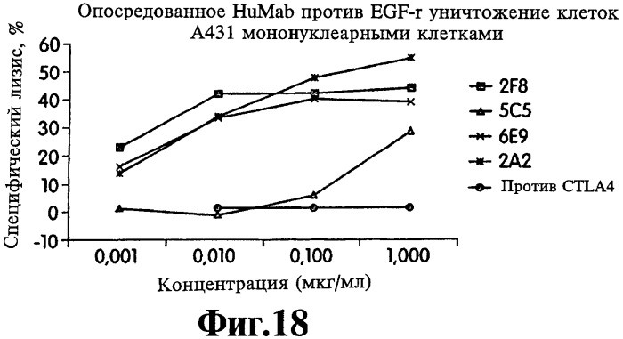 Человеческие моноклональные антитела к рецептору эпидермального фактора роста (egfr), способ их получения и их использование, гибридома, трансфектома, трансгенное животное, экспрессионный вектор (патент 2335507)