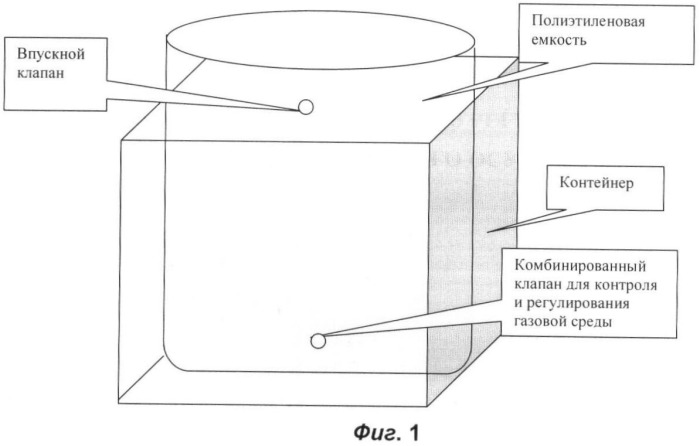 Способ хранения картофеля в регулируемой газовой среде и устройство для его осуществления (патент 2444175)