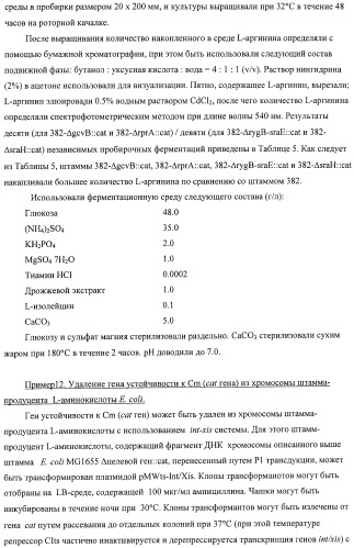 Способ получения l-аминокислот с использованием бактерии, принадлежащей к роду escherichia, в которой инактивирован один или несколько генов, кодирующих малые рнк (патент 2395567)