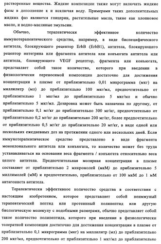 Биспецифические антитела к erb-b и их применение для лечения опухолей (патент 2349340)