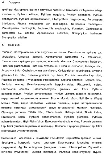 Способ повышения стойкости к стрессовым факторам в растениях (патент 2375452)