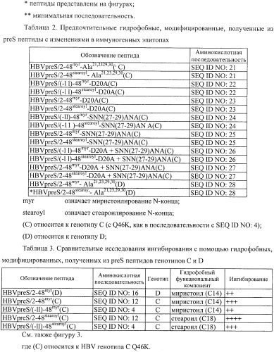 Гидрофобные, модифицированные, полученные из pres вируса гепатита в (hbv) пептиды и их использование в качестве ингибиторов проникновения hbv и hdv (патент 2492182)