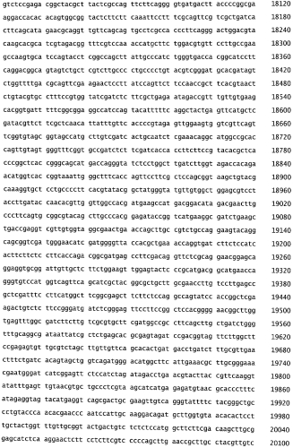 Бактериофаг, обладающий активностью против pseudomonas aeruginosa, белки бактериофага и способы их применения (патент 2580248)