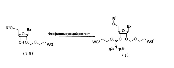 Производное фосфорамидита и способ получения олиго-рнк (патент 2415862)