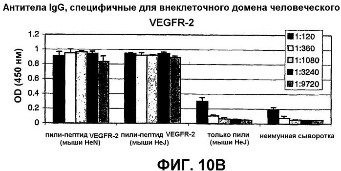 Композиция и способ для иммунизации, способ продуцирования неприродного, упорядоченного и повторяющегося массива антигенов и оболочечный белок (патент 2295973)