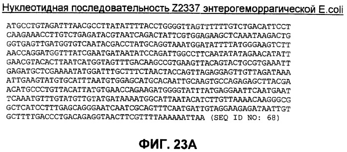 Бактериальные факторы вирулентности и варианты их применения (патент 2465331)