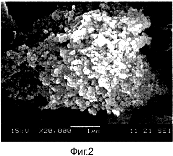 Комплексный способ использования биомассы, содержащей аморфный диоксид кремния (патент 2579447)