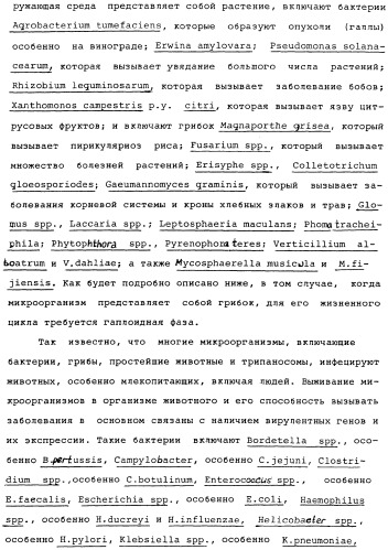 Vgc2 днк salmonella typhimurium, мутантная бактерия, обладающая пониженной способностью к адаптации к условиям окружающей среды, и способ ее получения (патент 2370541)
