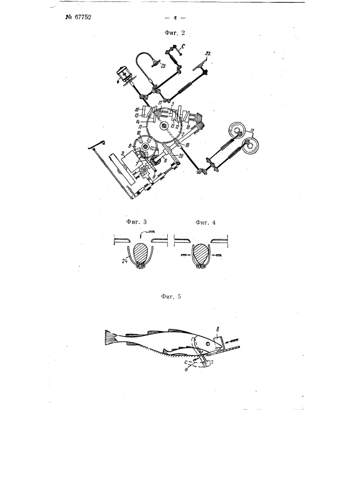 Карусельная рыборазделочная машина (патент 67752)