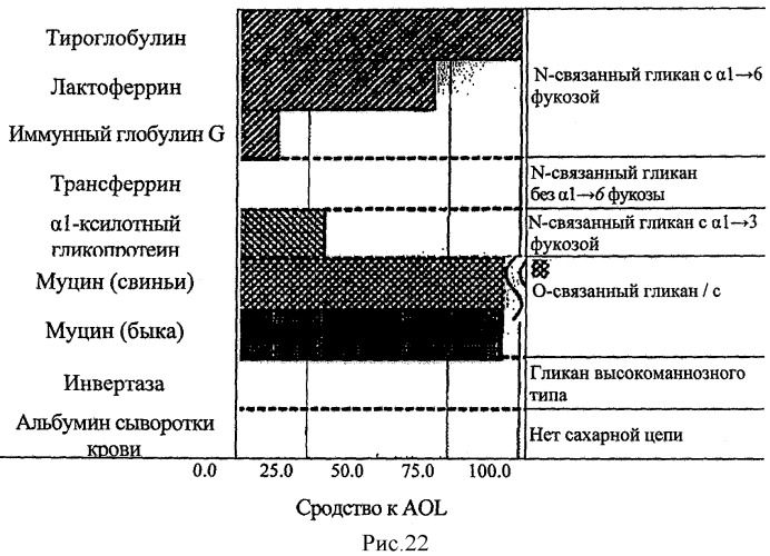 L-фукоза α1→6 специфичный лектин (патент 2524425)