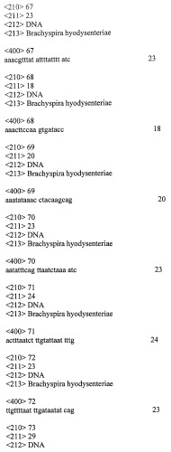 Гены и белки brachyspira hyodysenteriae и их применение (патент 2440369)