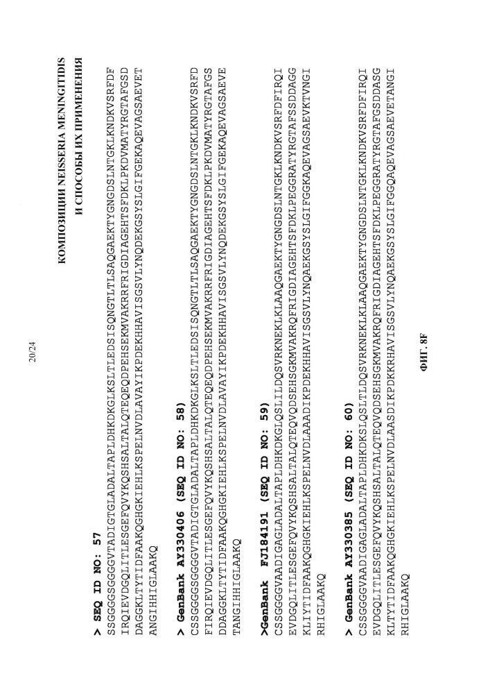 Композиции neisseria meningitidis и способы их применения (патент 2665841)
