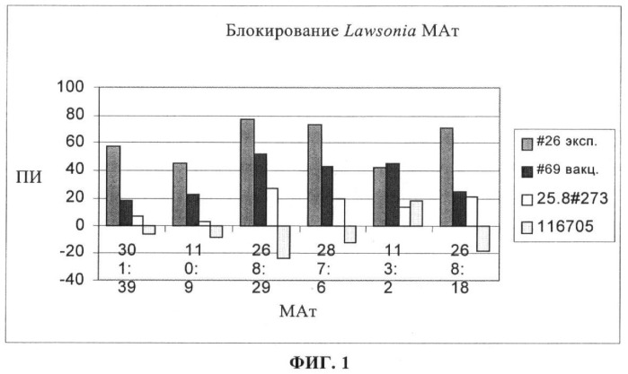 Способ диагностики lawsonia intracellularis (патент 2400758)