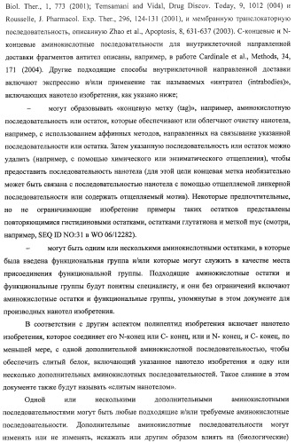 Аминокислотные последовательности, направленные на rank-l, и полипептиды, включающие их, для лечения заболеваний и нарушений костей (патент 2481355)