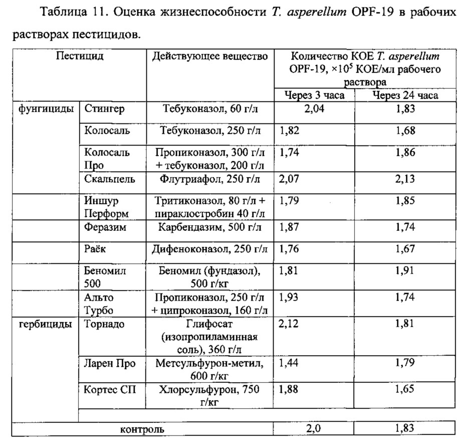 Штамм гриба trichoderma asperellum для получения биопрепарата комплексного действия для растениеводства (патент 2634415)