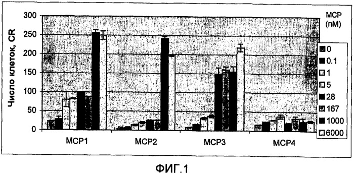 Антитела против моноцитарного хемоаттрактантного белка-1 (мср-1) и их применение (патент 2339647)