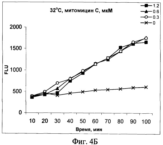 Рекомбинантная плазмидная днк pyfi-gfp, кодирующая продукцию флюоресцентного белка gfpaav и штамм бактерий escherichia coli jm109-pyfi, продуцирующий флюоресцентный белок gfpaav в присутствии токсических агентов (патент 2384620)