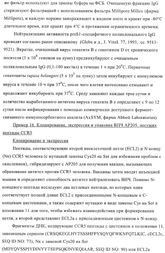 Вирусоподобные частицы, включающие гибридный белок белка оболочки бактериофага ар205 и антигенного полипептида (патент 2409667)