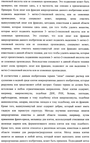 Микроорганизмы, ингибирующие образование неприятного подмышечного запаха (патент 2459864)