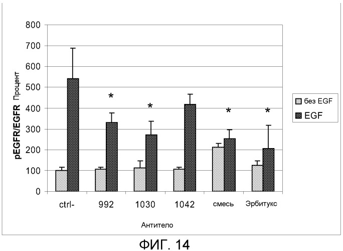 Композиции рекомбинантных антител против рецептора эпидермального фактора роста (патент 2540146)