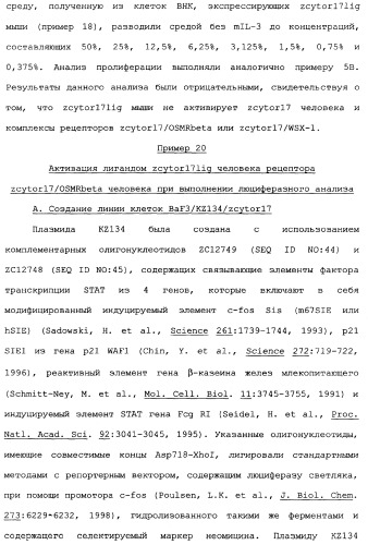 Новый лиганд рецептора цитокина zcytor17 (патент 2360923)