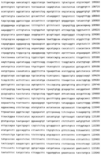 Применение s1p (патент 2362565)