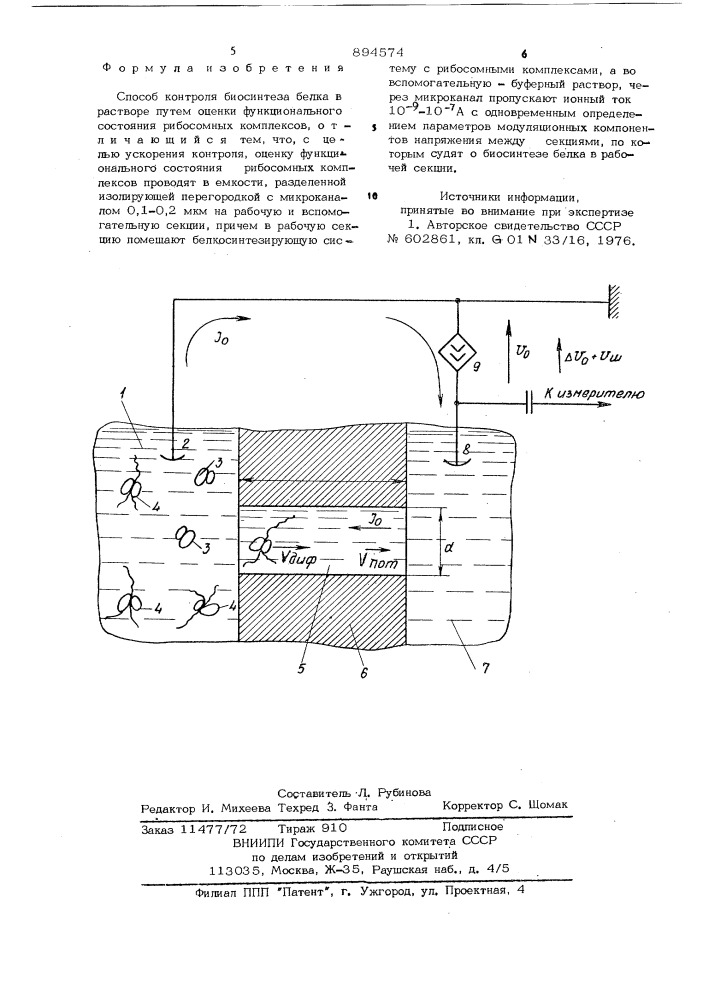 Способ контроля биосинтеза белка в растворе (патент 894574)