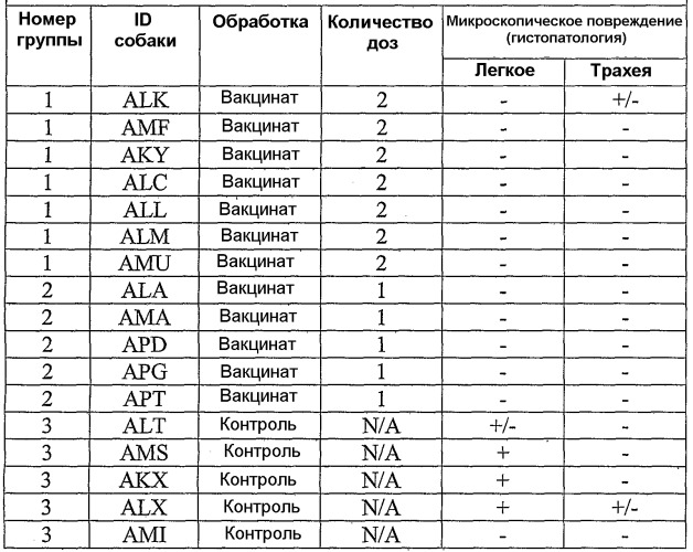 Вирус гриппа, способный инфицировать собачьих, и его применение (патент 2520081)