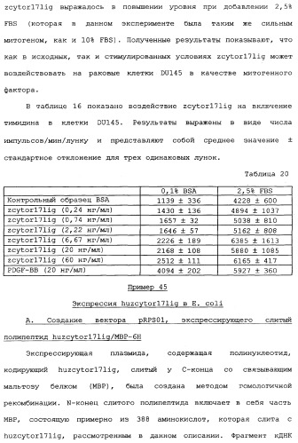 Новый лиганд рецептора цитокина zcytor17 (патент 2360923)