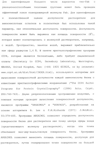 Антитела, сконструированные на основе цистеинов, и их конъюгаты (патент 2412947)