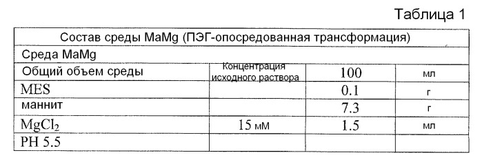 Способы in vitro для создания и поддержания линий растительных клеток в виде отдельных клеток в суспензии с интактными клеточными стенками и их трансформации (патент 2451744)