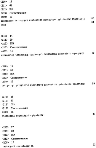 Одноцепочечное триспецифическое антитело рекомбинант анти-сеа/cd3/cd28, полученный путем генетической инженерии (патент 2361878)