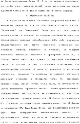 Гены corynebacterium glutamicum, кодирующие белки метаболических путей (патент 2306339)
