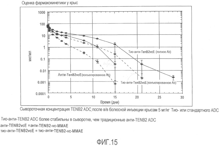 Антитела против tenb2, сконструированные с цистеином, и конъюгаты антитело - лекарственное средство (патент 2505544)