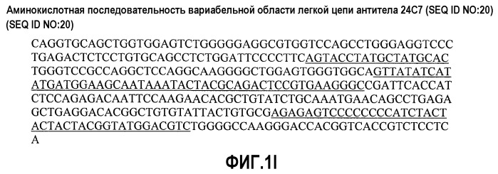 Антитела против альфа5-бета 1 и их применение (патент 2528736)