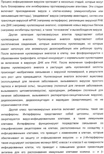 Мотивы последовательности рнк в контексте определенных межнуклеотидных связей, индуцирующие специфические иммуномодулирующие профили (патент 2435851)