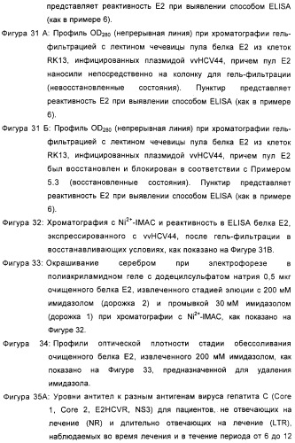 Очищенные оболочечные белки вируса гепатита с для диагностического и терапевтического применения (патент 2319505)