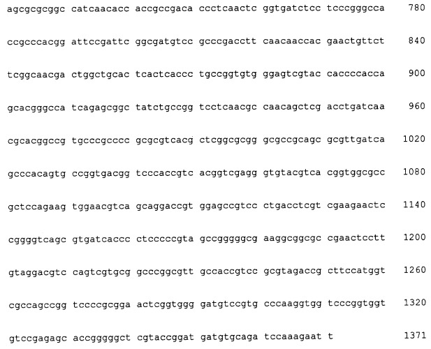 Варианты гликолипидацилтрансферазы, способ их получения и применение (патент 2377300)