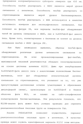 Антитела, сконструированные на основе цистеинов, и их конъюгаты (патент 2412947)