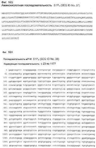 Применение s1p (патент 2362565)