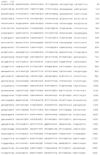 Стабильные иммуногенные композиции антигенов staphylococcus aureus (патент 2570730)