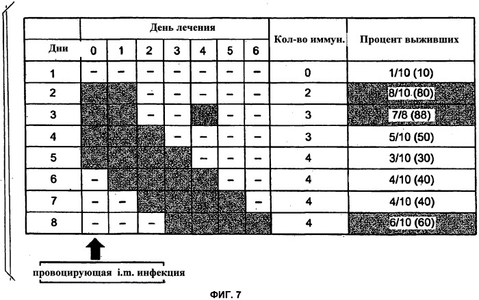 Вектор парапоксвируса, содержащий антиген вируса бешенства (патент 2545694)